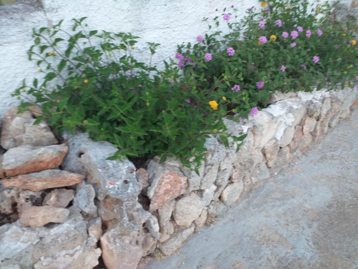 La Villa Di Luca Ostuni Kültér fotó